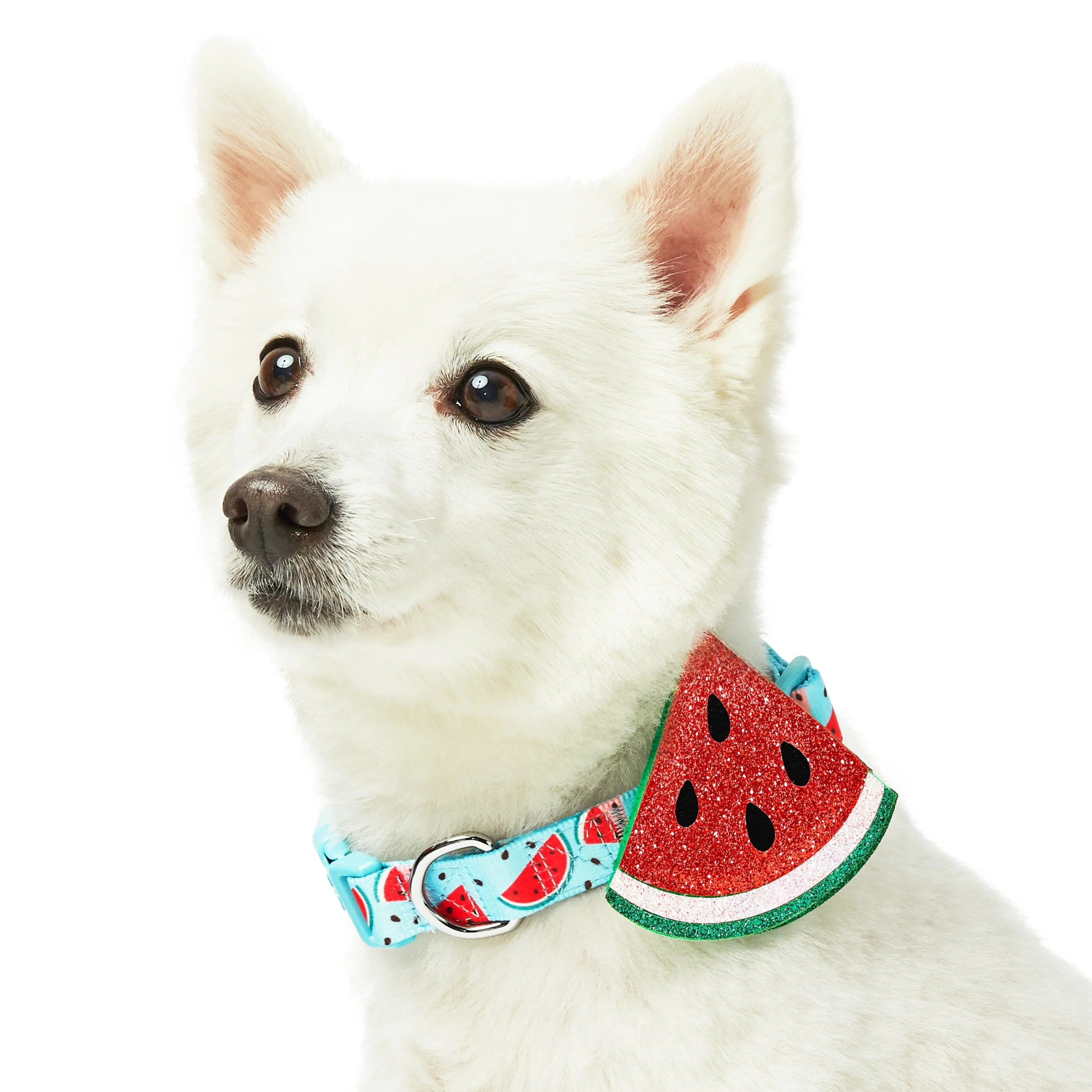 Zesty Fruit Dog Collar - 4 patterns