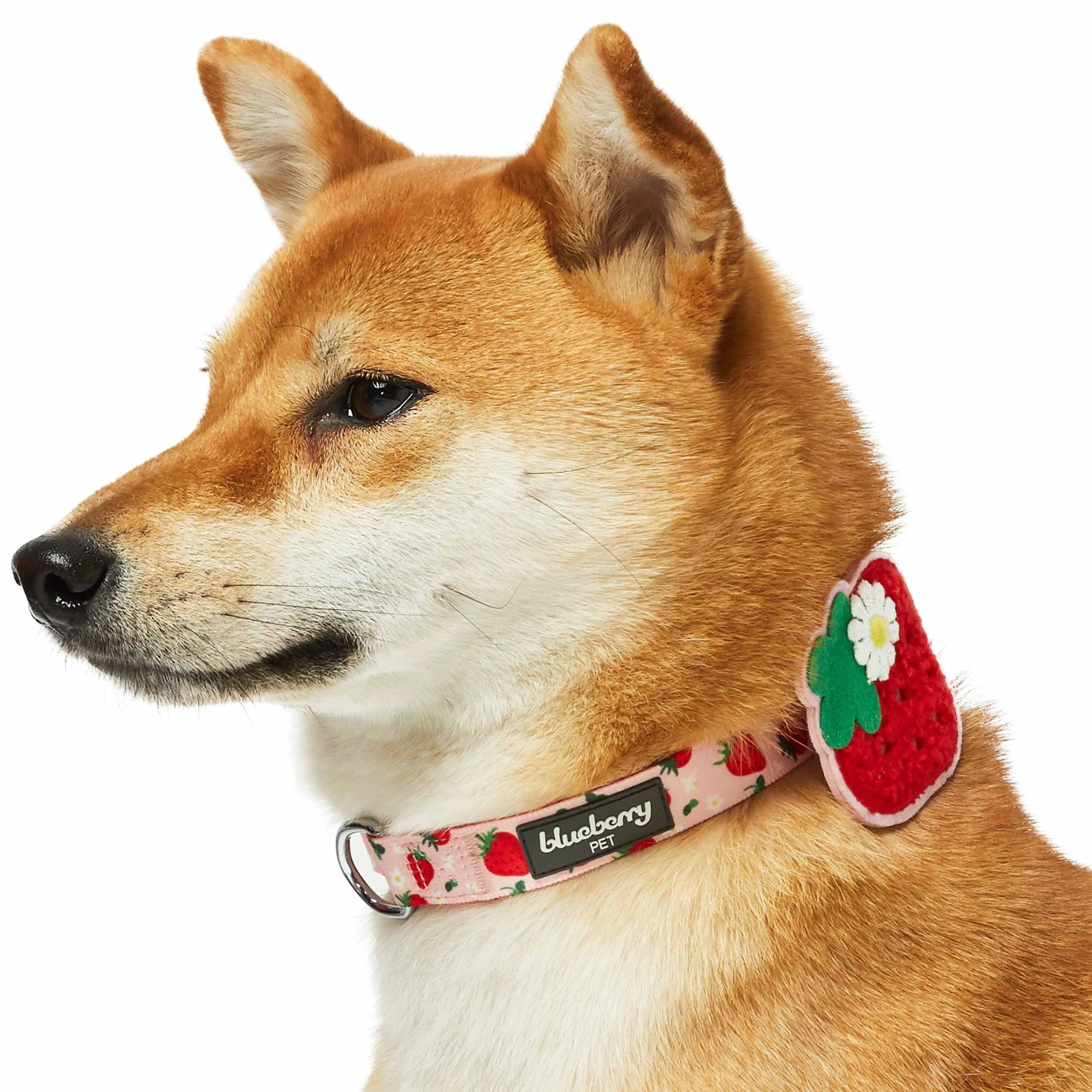 Zesty Fruit Dog Collar - 4 patterns