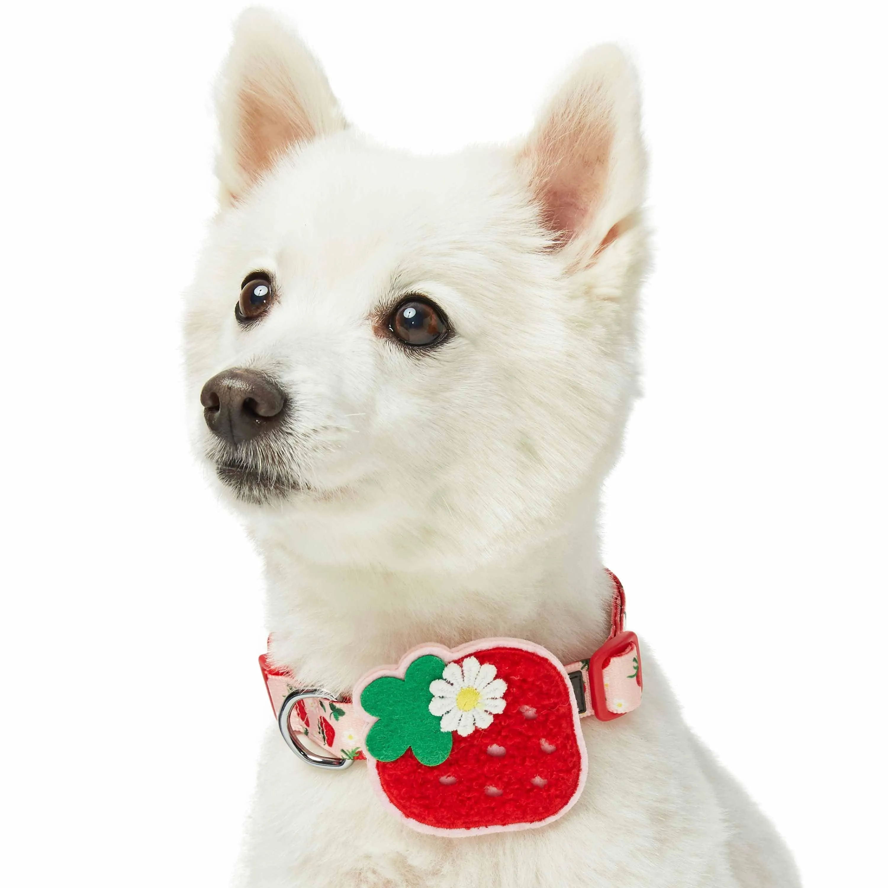 Zesty Fruit Dog Collar - 4 patterns