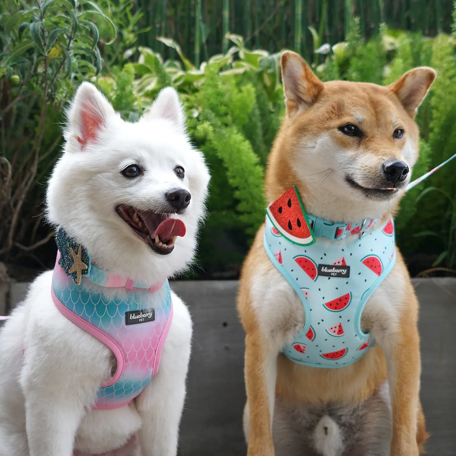 Zesty Fruit Dog Collar - 4 patterns