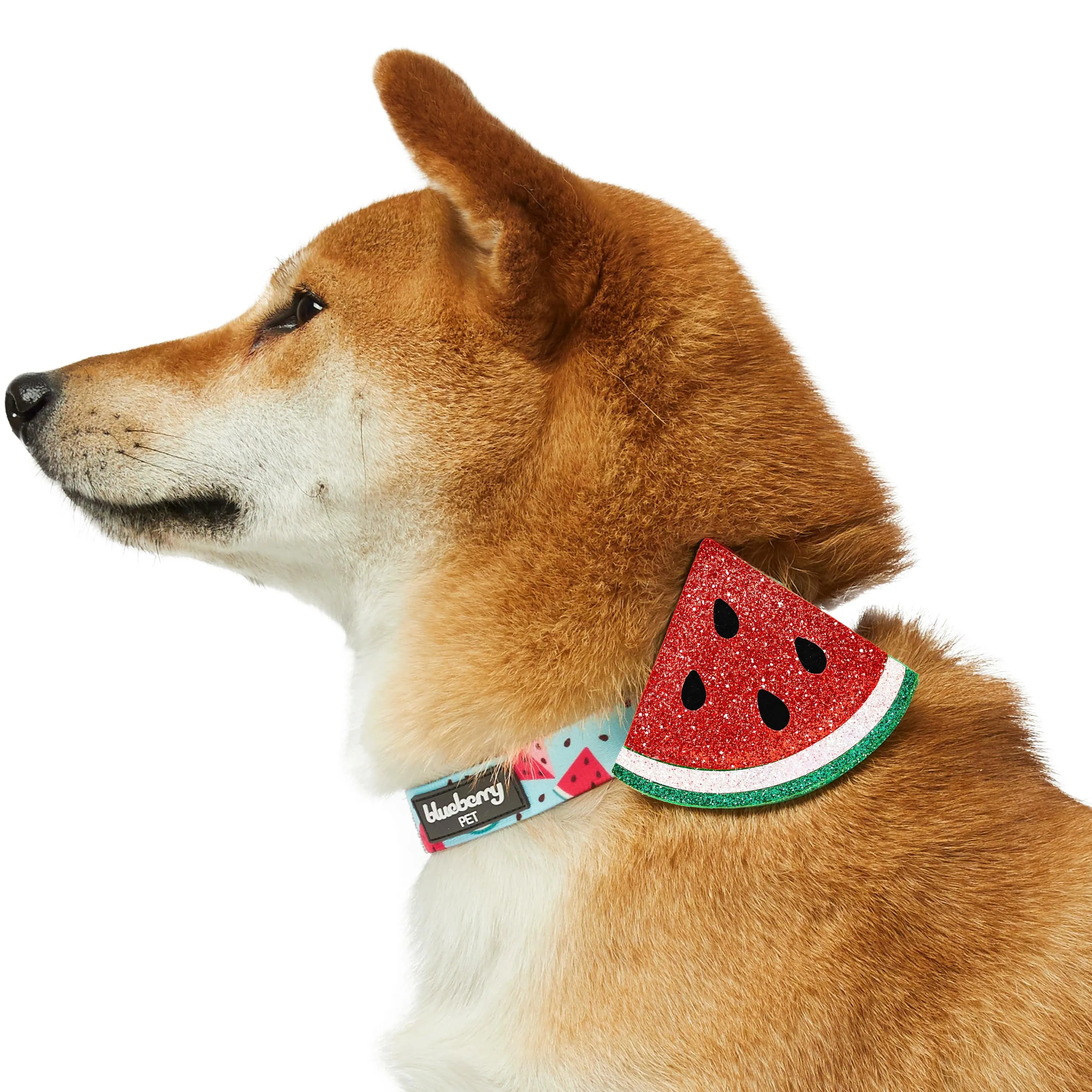 Zesty Fruit Dog Collar - 4 patterns